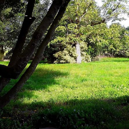 فيلا Domaine De La Tranquillite V Noyal-Muzillac المظهر الخارجي الصورة