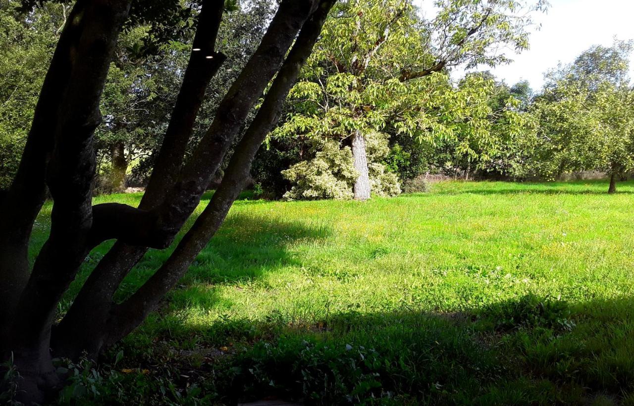 فيلا Domaine De La Tranquillite V Noyal-Muzillac المظهر الخارجي الصورة